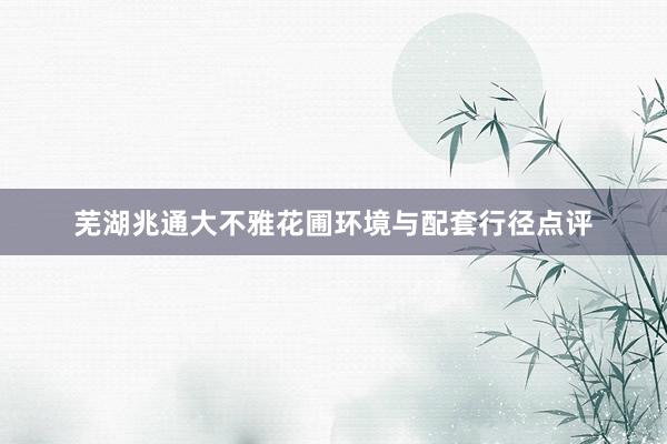 芜湖兆通大不雅花圃环境与配套行径点评