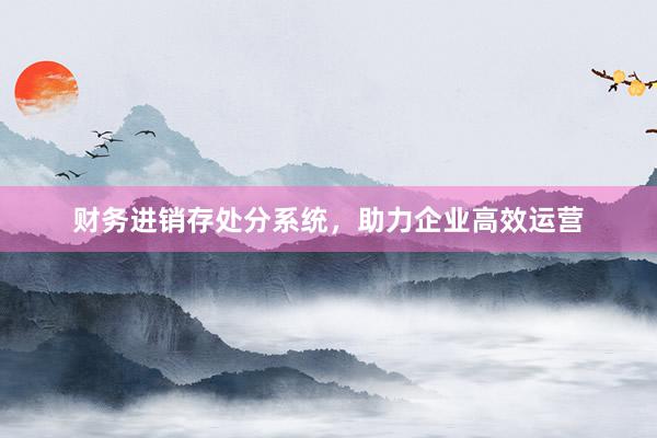 财务进销存处分系统，助力企业高效运营