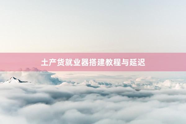 土产货就业器搭建教程与延迟