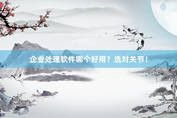 企业处理软件哪个好用？选对关节！