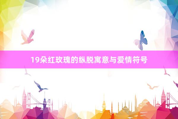19朵红玫瑰的纵脱寓意与爱情符号